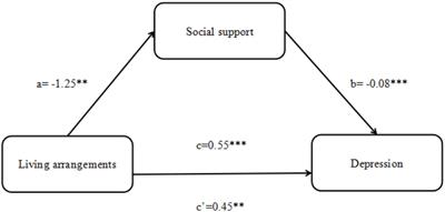 The relationship between living arrangements and depression among older adults in Shandong, China: The mediating role of social support